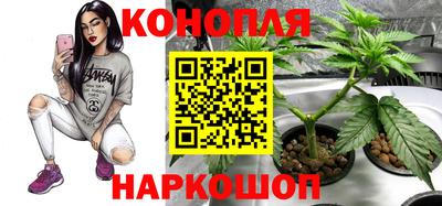 спайс Партизанск