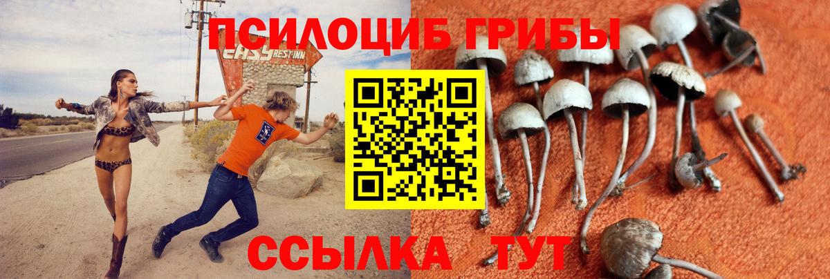 Галлюциногенные грибы MAGIC MUSHROOMS Буйнакск