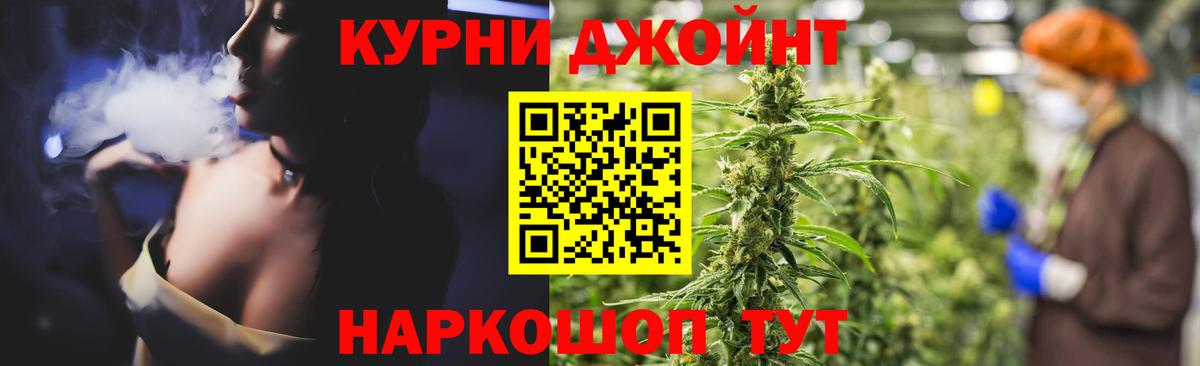 Конопля конопля  Бошки Шишки индика  Буйнакск  Вход с VPN  Бошки Шишки White Widow 
